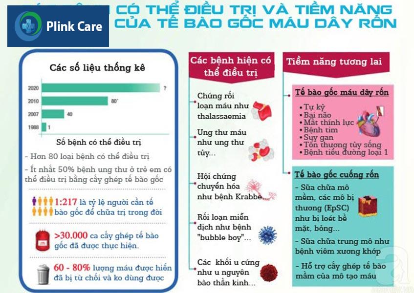 Maius cuống rốn: kho tế bào gốc kỳ diệu