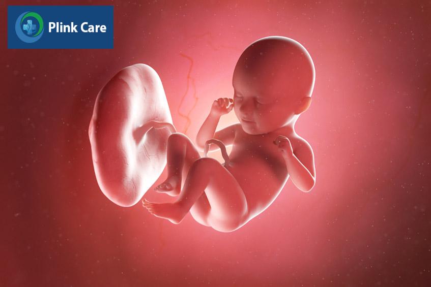 khám thai đúng hẹn giúp theo dõi sức khỏe thai nhi