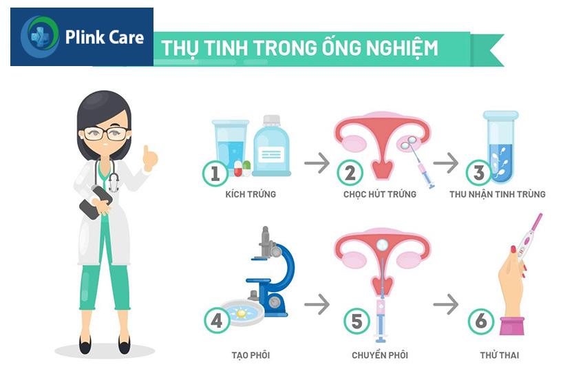 quy trình thụ tinh trong ống nghiệm
