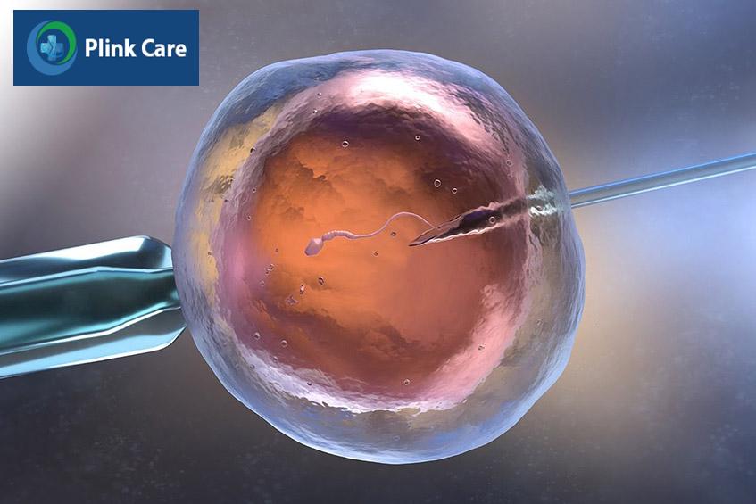 thụ tinh ống nghiệm ivf