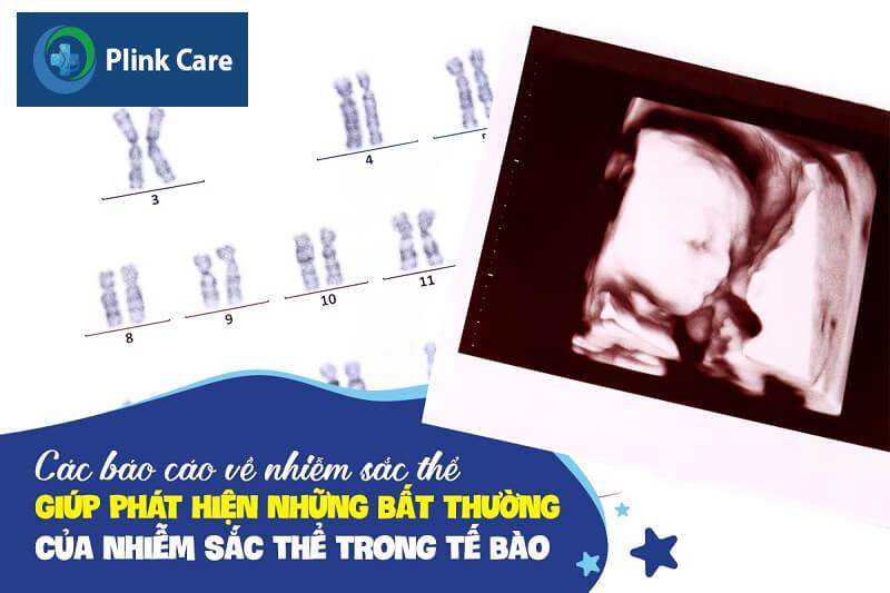 Báo cáo về các nhiễm sắc thể