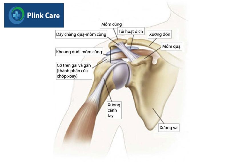 xac dinh vi tri mom cung vai