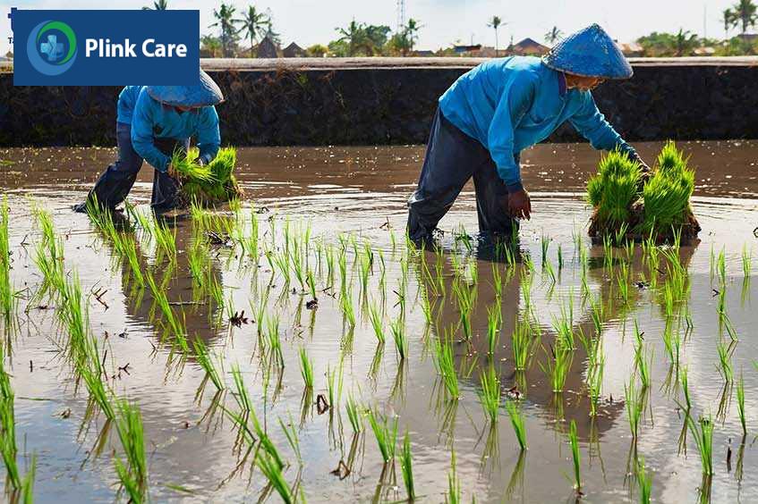 môi trường làm việc không hợp vệ sinh