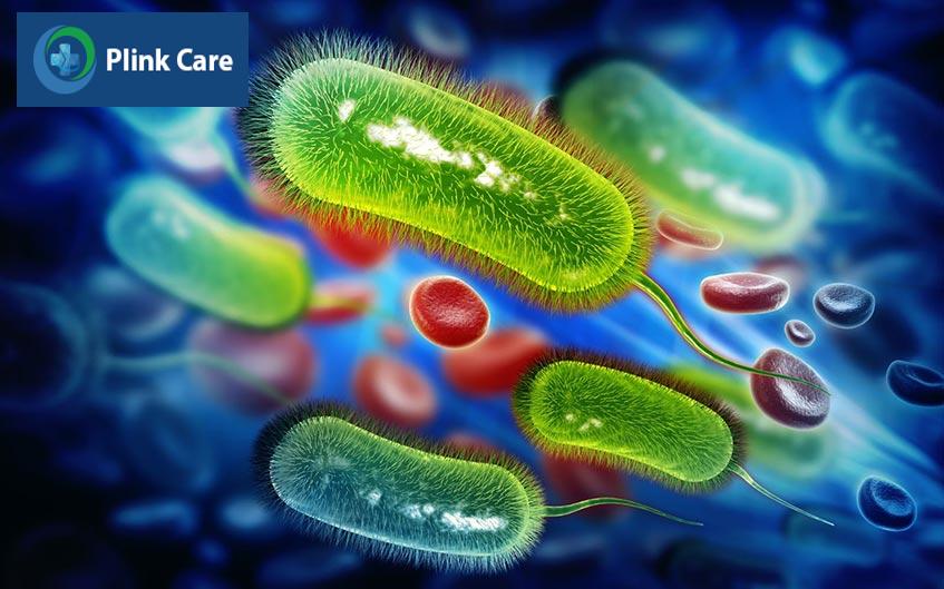 vi khuan H.pylori