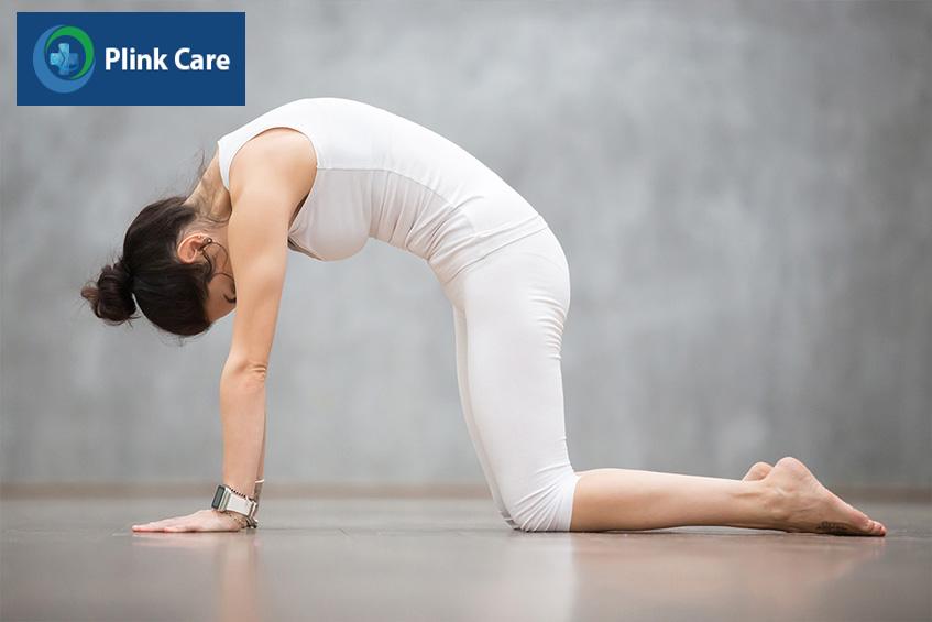 chakravakasana