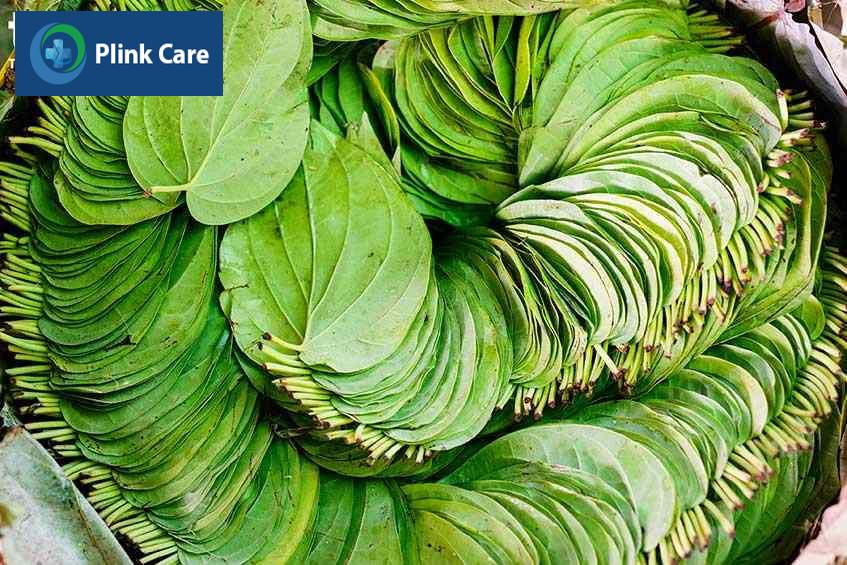 phòng ngừa viêm đường tiết niệu bằng rau xanh