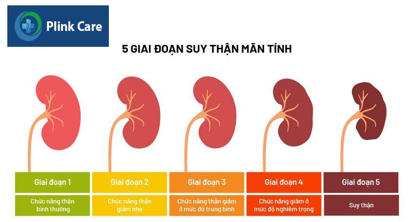 các giai đoạn suy thận mạn