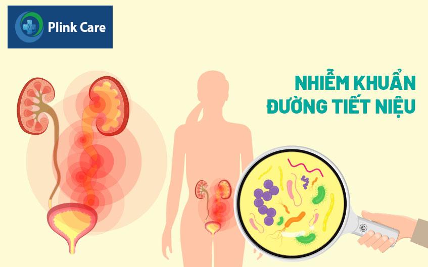 nhiễm khuẩn đường tiết niệu