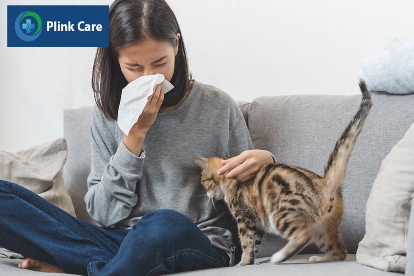 tác nhân gây dị ứng dị nguyên