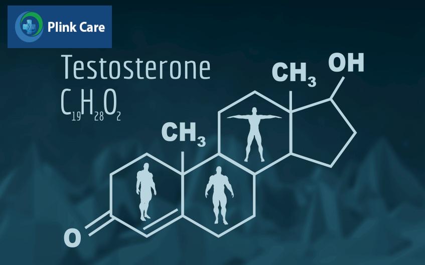 vai trò testosterone là gì