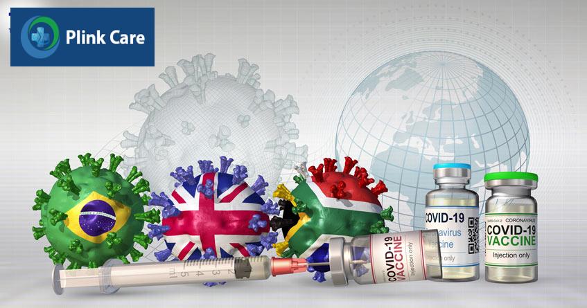 các biến chủng của virus corona