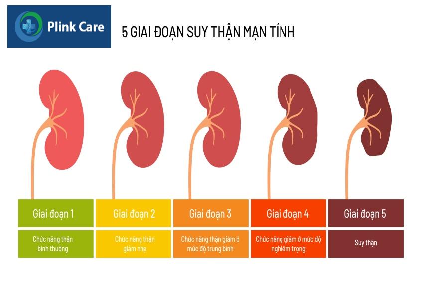 Suy thận mạn là gì