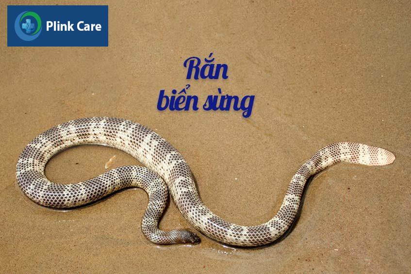 ran bien sung