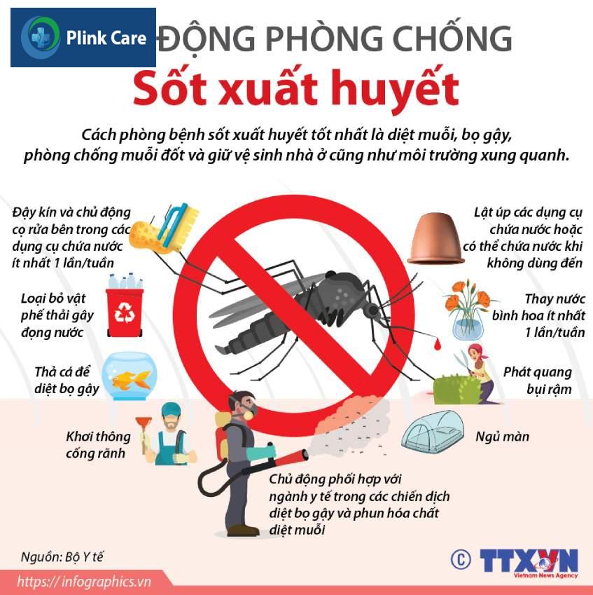 chủ động phòng tránh sốt xuất huyết