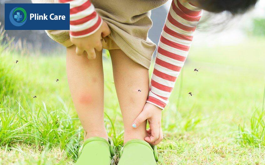 muỗi đốt gây bệnh sốt xuất huyết
