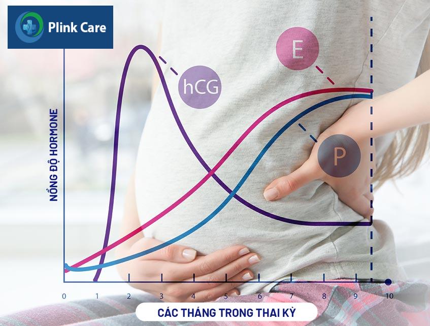 nồng độ hormone trong thai kỳ