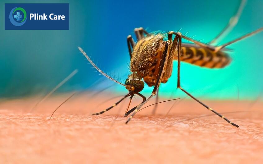 tác nhân gây bệnh sốt rét