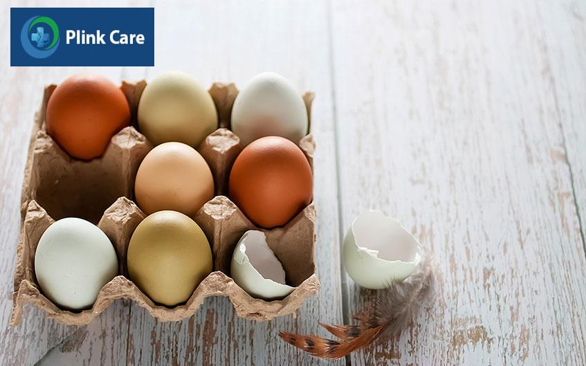 thực phẩm có nguồn gốc từ trứng