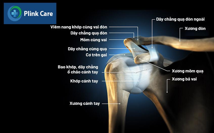 gân vai bị viêm