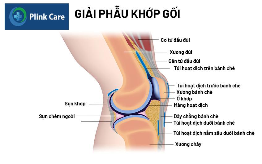 hẹp khớp gối là gì