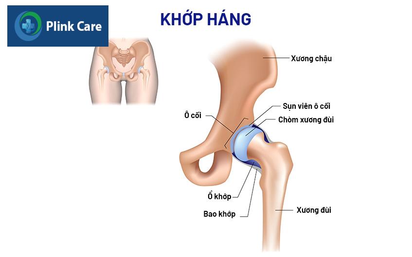 hẹp khớp háng là gì