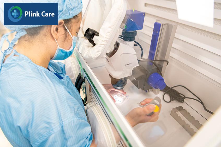 trứng được chuyển tới phòng thí nghiệm