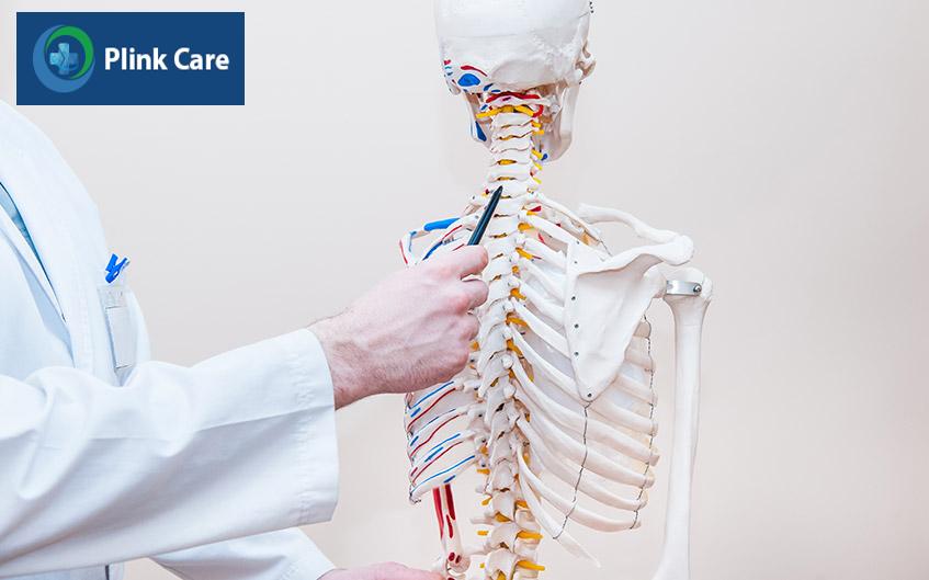 chức năng của cột sống