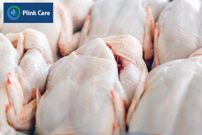đường lây của cúm a h5n1