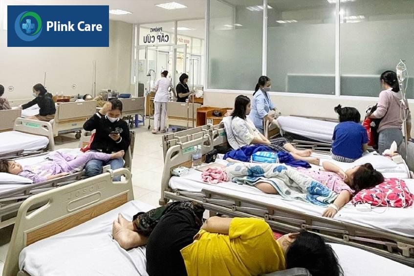 học sinh bị ngộ độc thực phẩm do salmonella