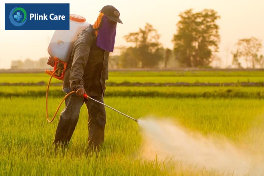 phòng ngừa ngộ độc thuốc trừ sâu