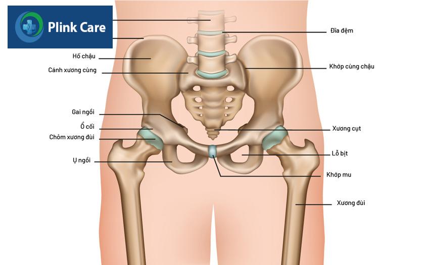 tình trạng nam giới bị viêm khớp cùng chậu