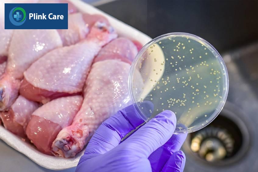 Vi khuẫn Salmonella ẩn trong thịt gà