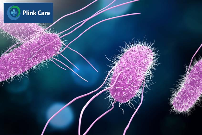 vi khuẩn salmonella là nguyên nhân gây ngộ độc ở trẻ