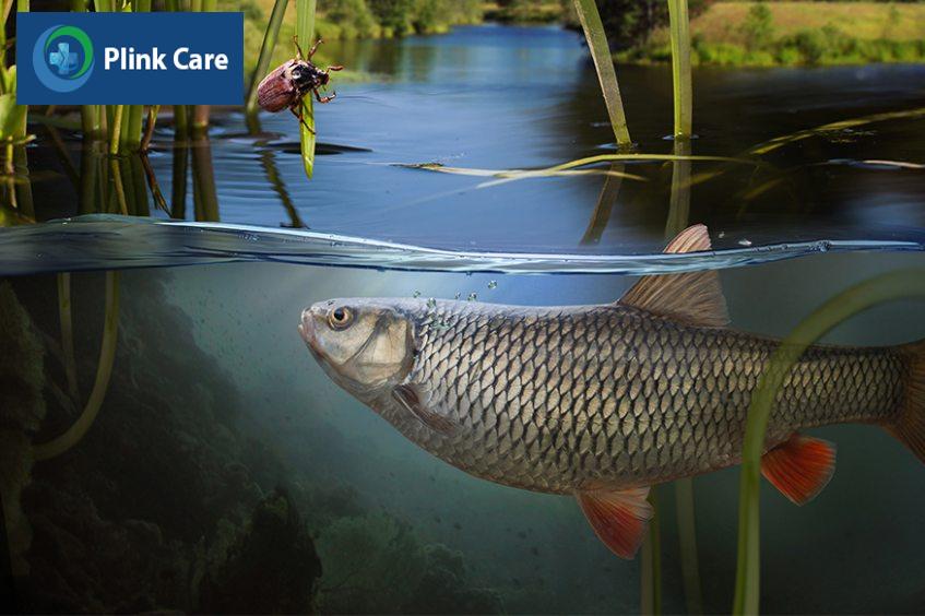 yếu tố nguy cơ tăng khả năng mắc bệnh