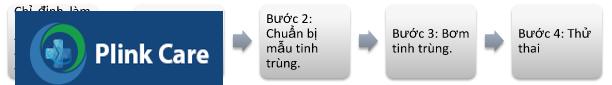 quy trình thực hiện iui