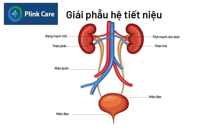 đi đái ra máu ở nam là gì