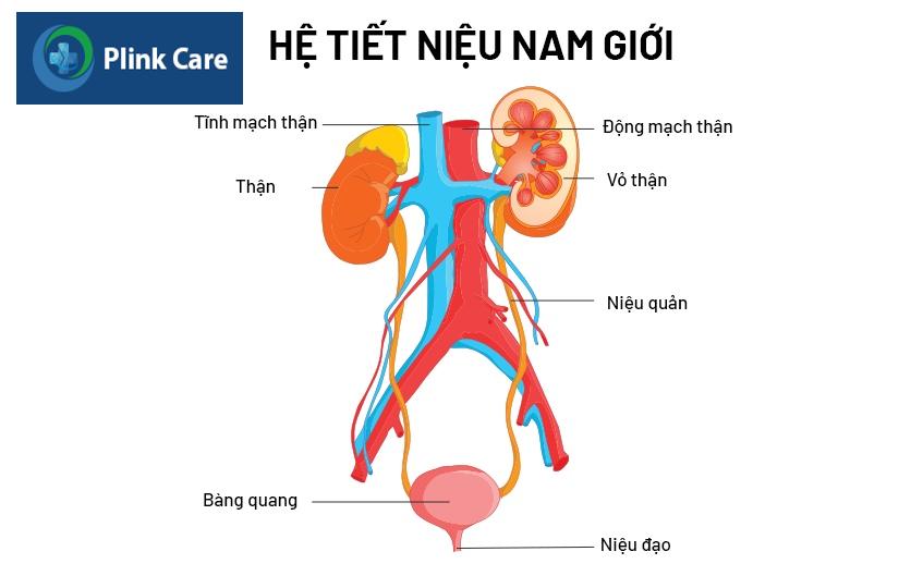 yếu tố rủi ro tăng nguy cơ mắc bệnh