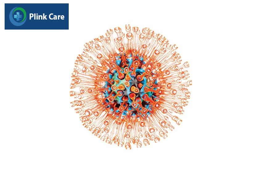 virus herpes