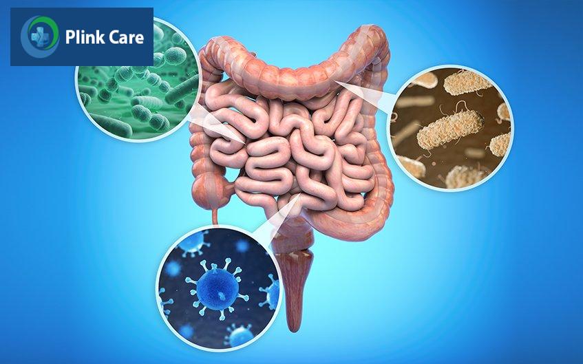 nguyên nhân nhiễm trùng đường ruột