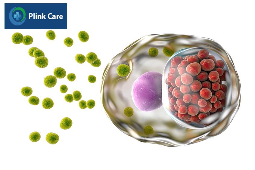 dấu hiệu bệnh chlamydia