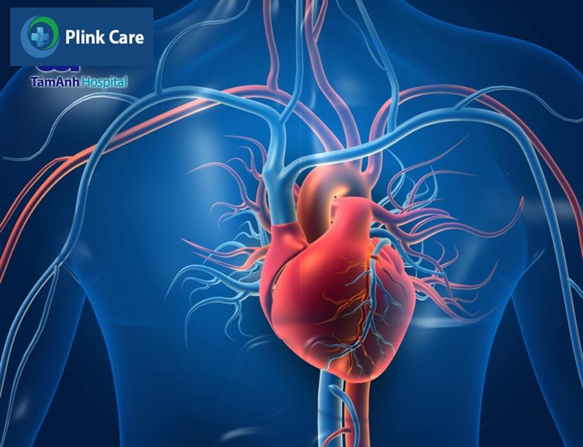 bệnh lý tim mạch phổ biến nhất
