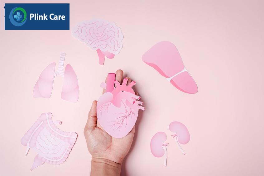 Béo phì ảnh hưởng đến nhiều cơ quan trong cơ thể
