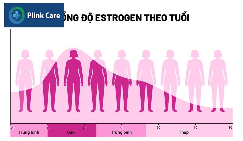 estrogen suy giảm theo độ tuổi