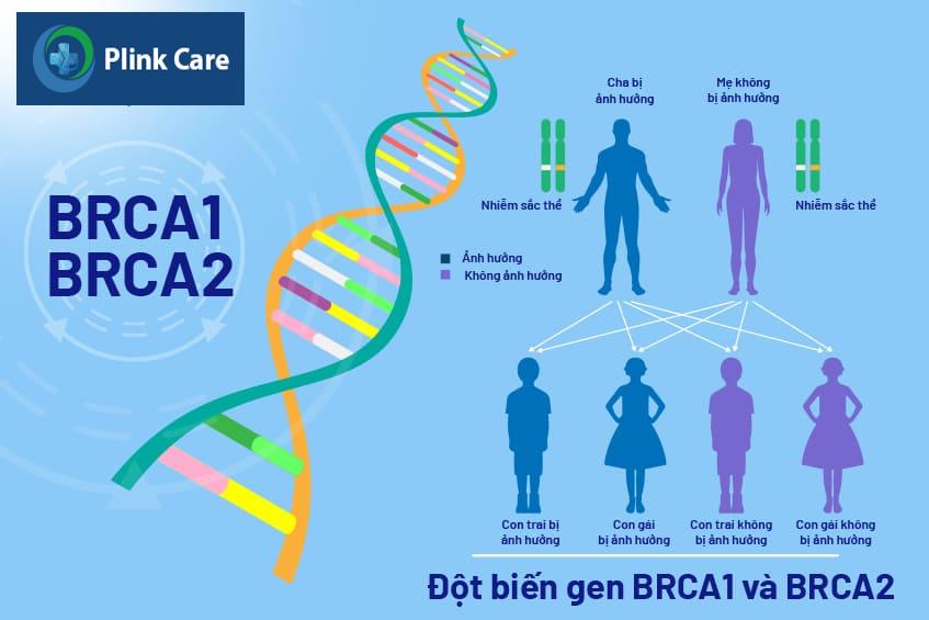 Khi nào cần xét nghiệm BRCA