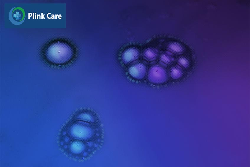 mụn cóc có thể tự lây lan