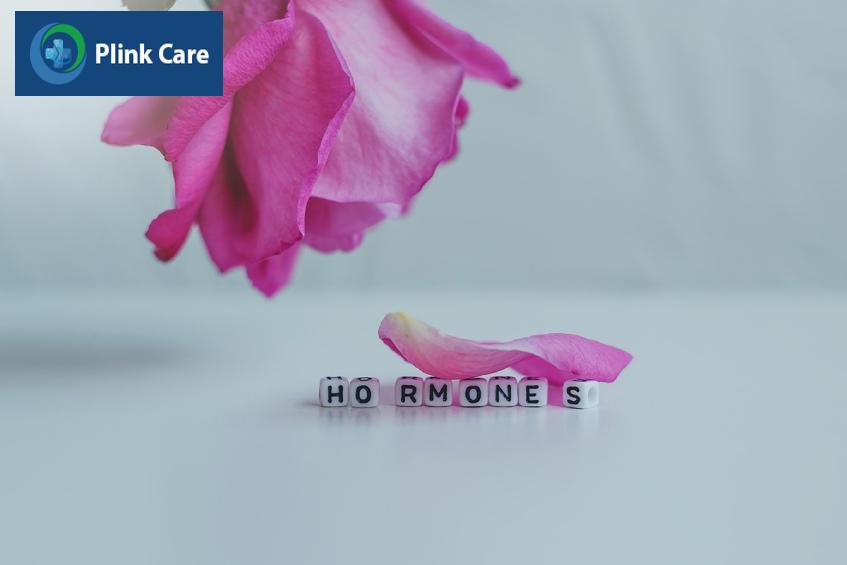 Nội tiết tố góp phần điều hòa các quá trình khác