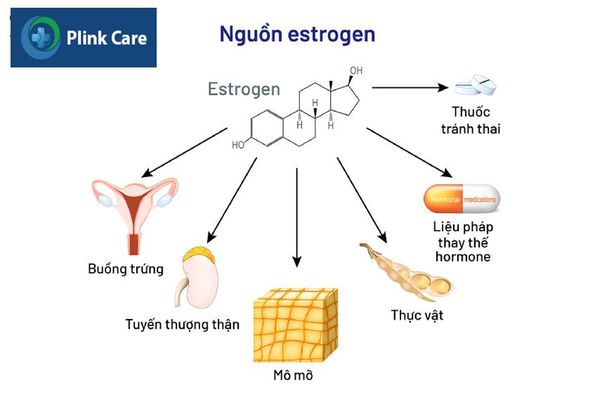 Rối loạn nội tiết tố gây hội chứng buồng trứng đa nang