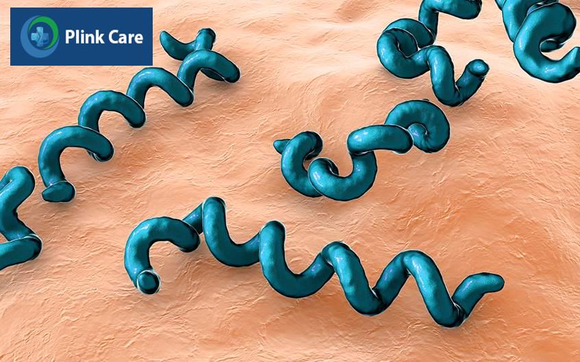 Xoắn khuẩn treponema pallidum là nguyên nhân gây bệnh giang mai