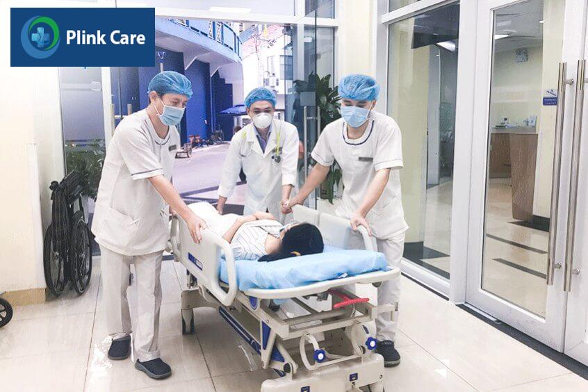 cách sơ cứu khi bị rết cắn