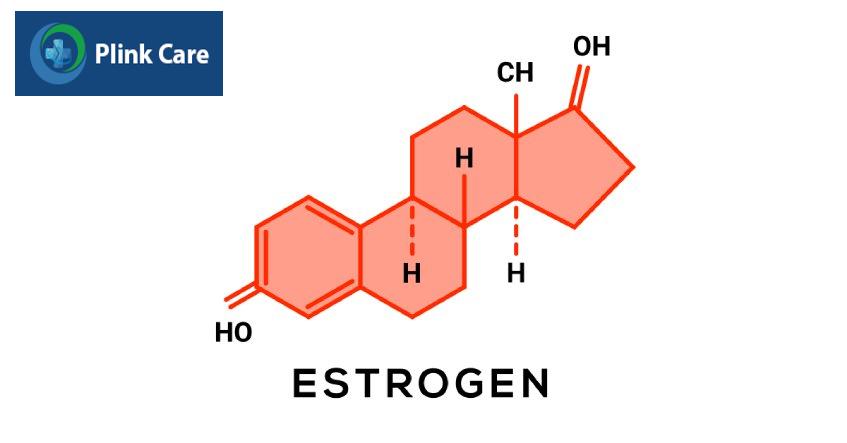 Estrogen có vai trò quan trọng trong sinh lý nữ
